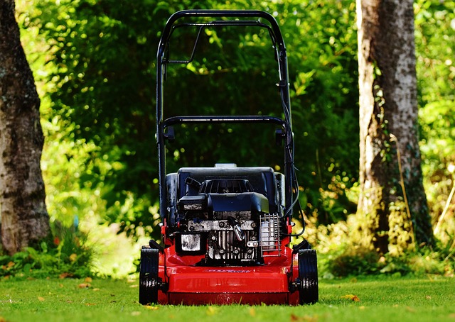 Push lawn mower sitting in tall grass between trees during residential yard maintenance in Rochester.