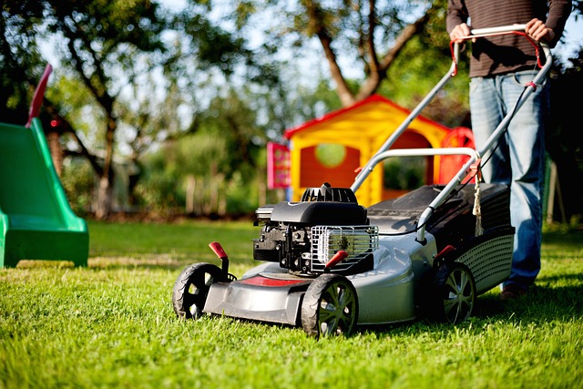 Residential lawn mowing service in Rochester backyard with green grass & playset in view