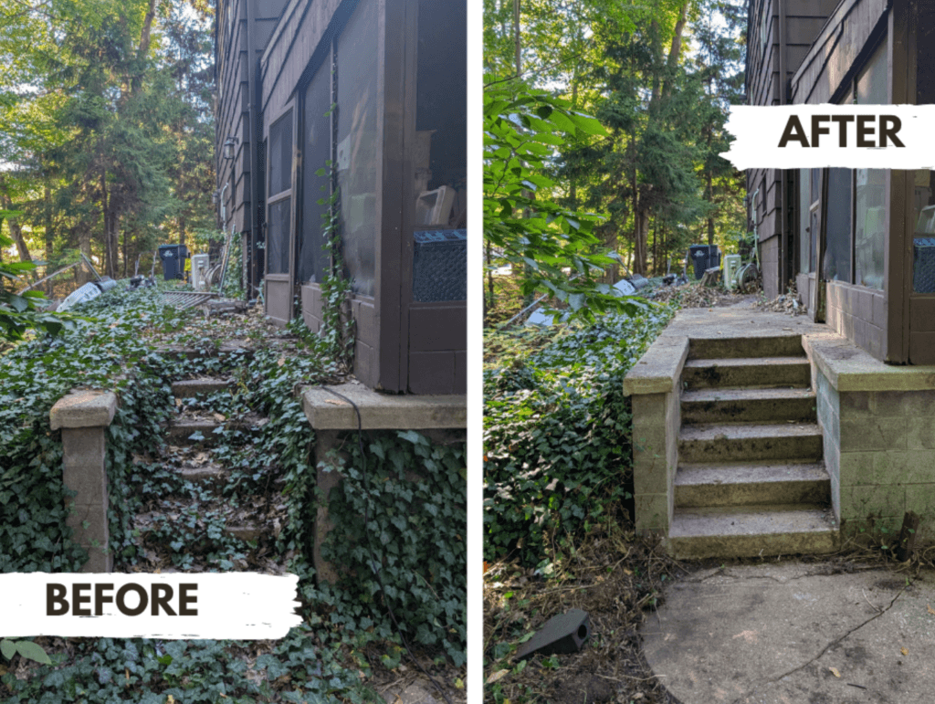 Before and after ivy removal from concrete stairs behind a residential home