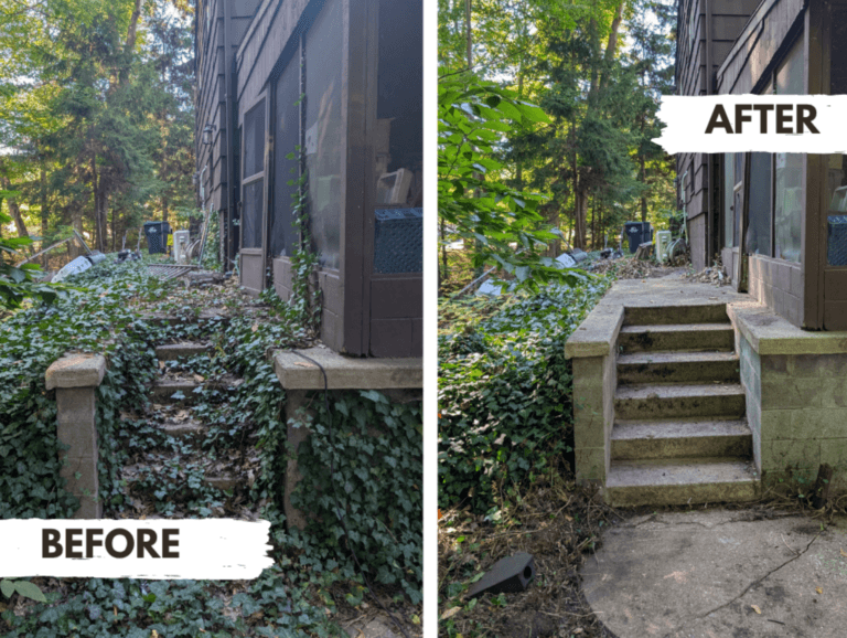 Before and after ivy removal from concrete stairs behind a residential home