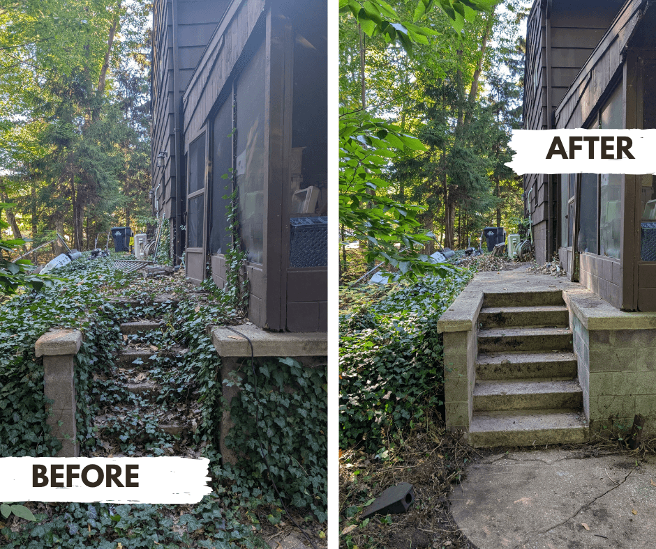 Before and after ivy removal from concrete stairs behind a residential home