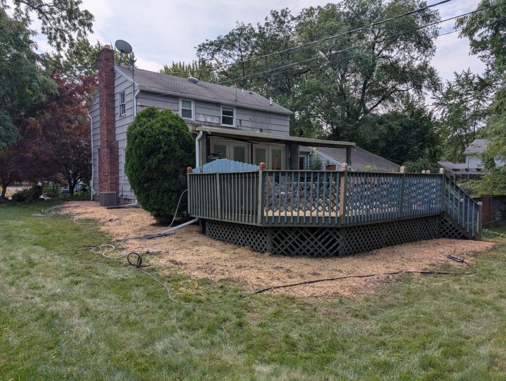 Back of house lawn after overgrown garden removal and reseeding in Irondequoit NY