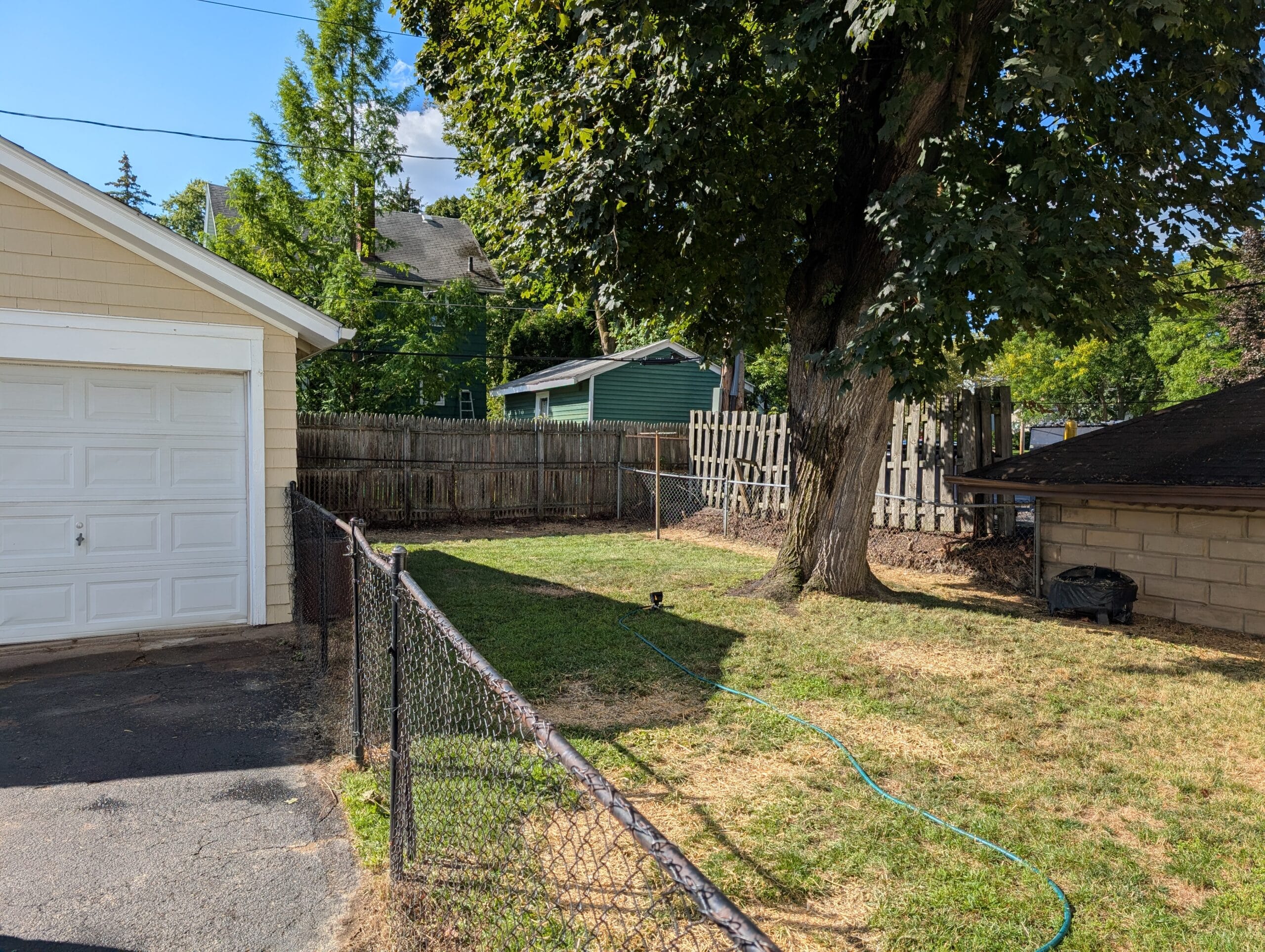 Backyard after full yard cleanup and reseeding in Rochester NY
