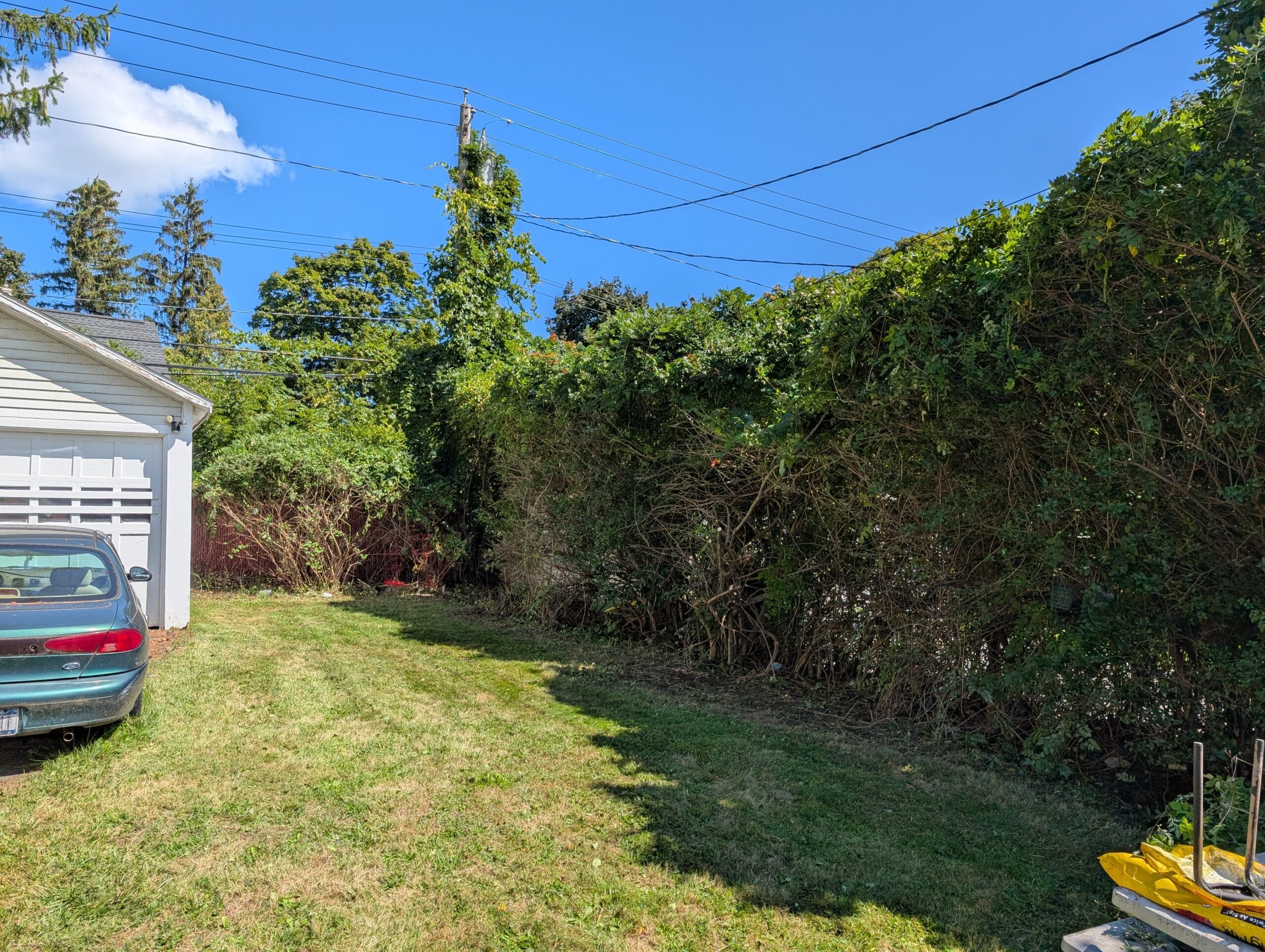 Privacy bushes trimmed back to restore yard space in Rochester NY