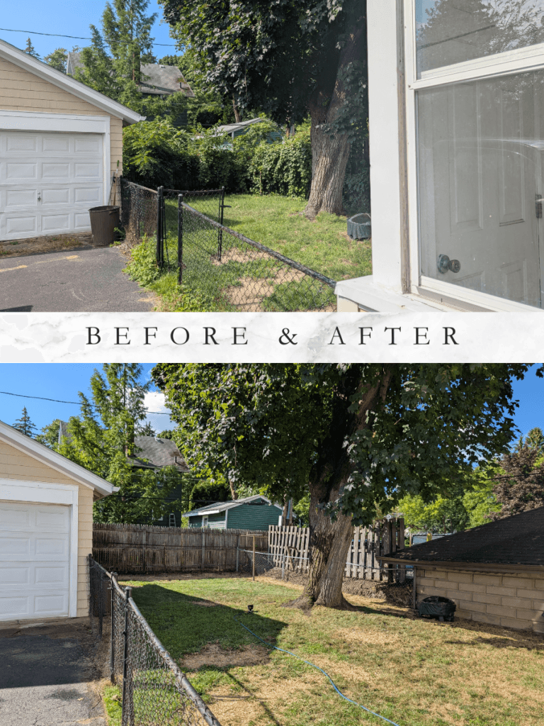 Backyard before and after full yard cleanup in Rochester NY