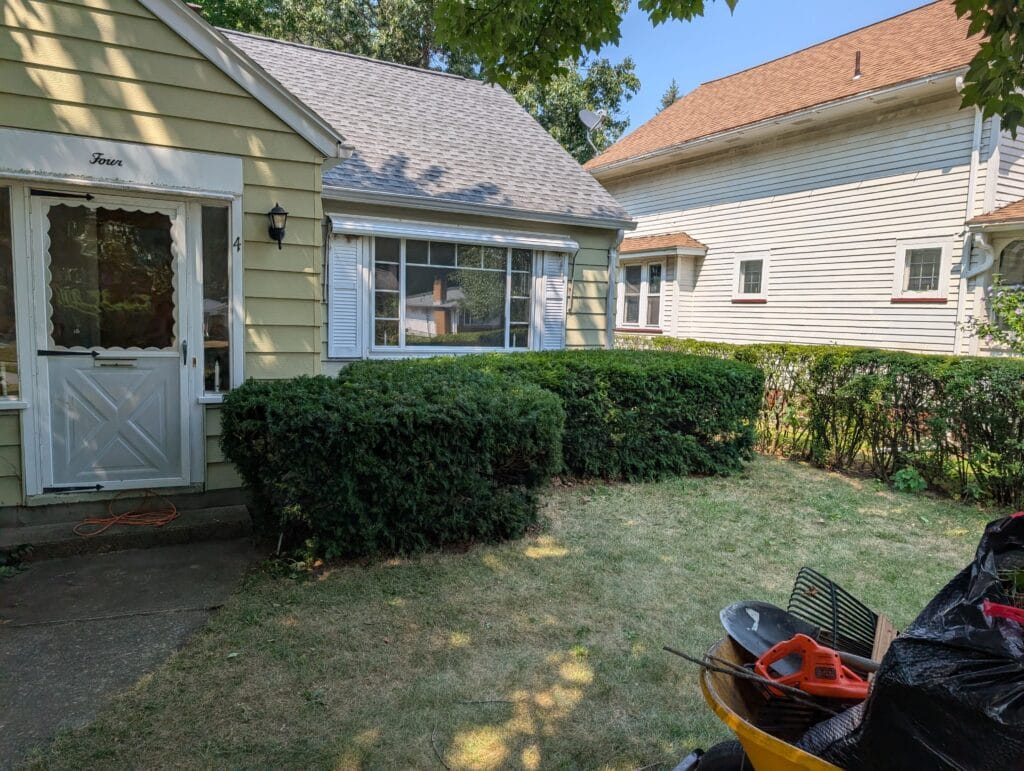 Bushes trimmed and shaped after cleanup in Irondequoit NY