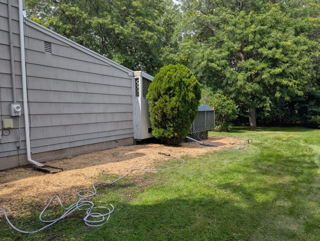 Close up of newly seeded lawn after garden removal in Irondequoit NY