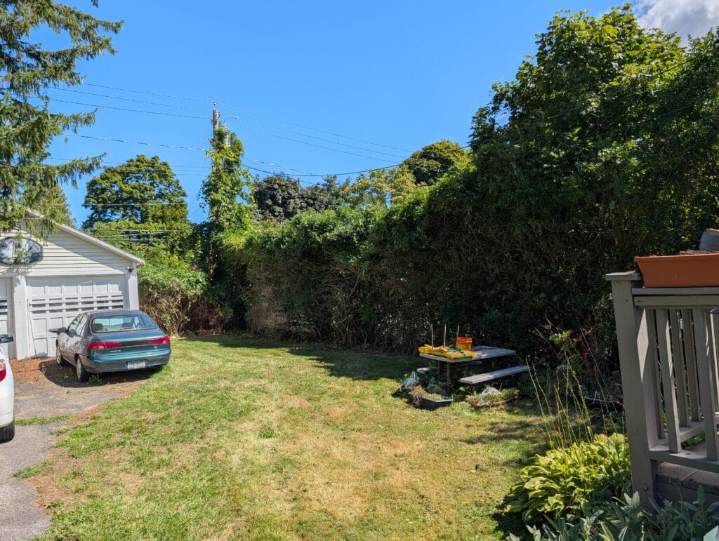 Completed full yard cleanup with trimmed privacy bushes in Rochester NY