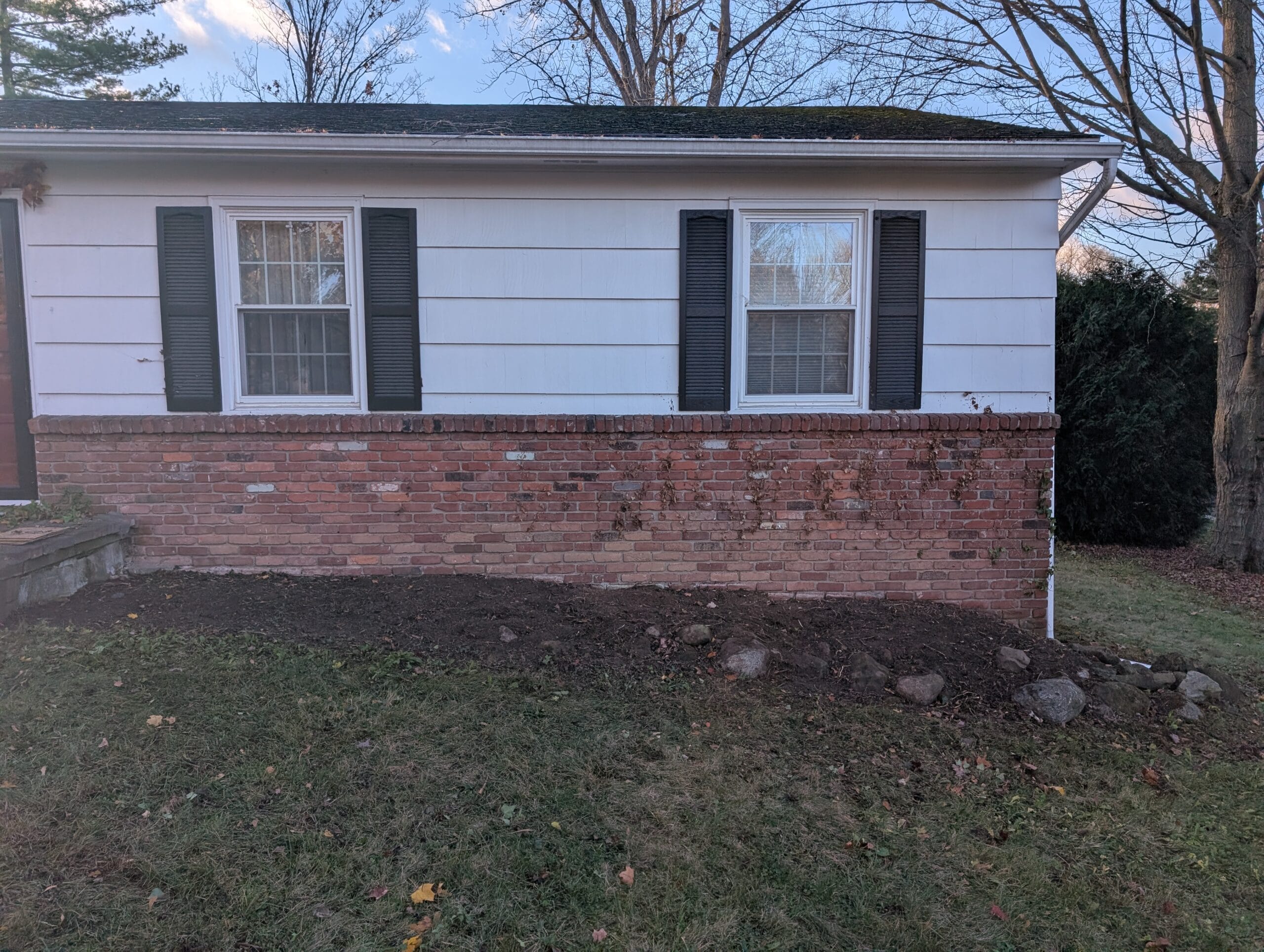Front garden after English ivy was cleared in Pittsford NY