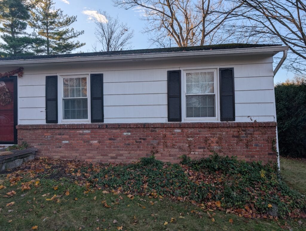 Front garden overtaken by English ivy before cleanout in Pittsford NY