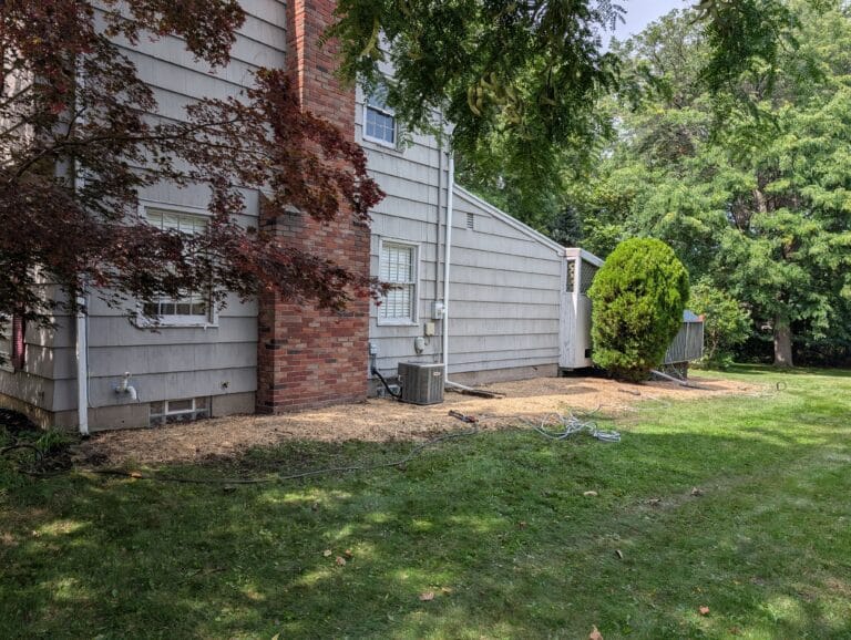Side yard after overgrown garden removal and reseeding in Irondequoit NY