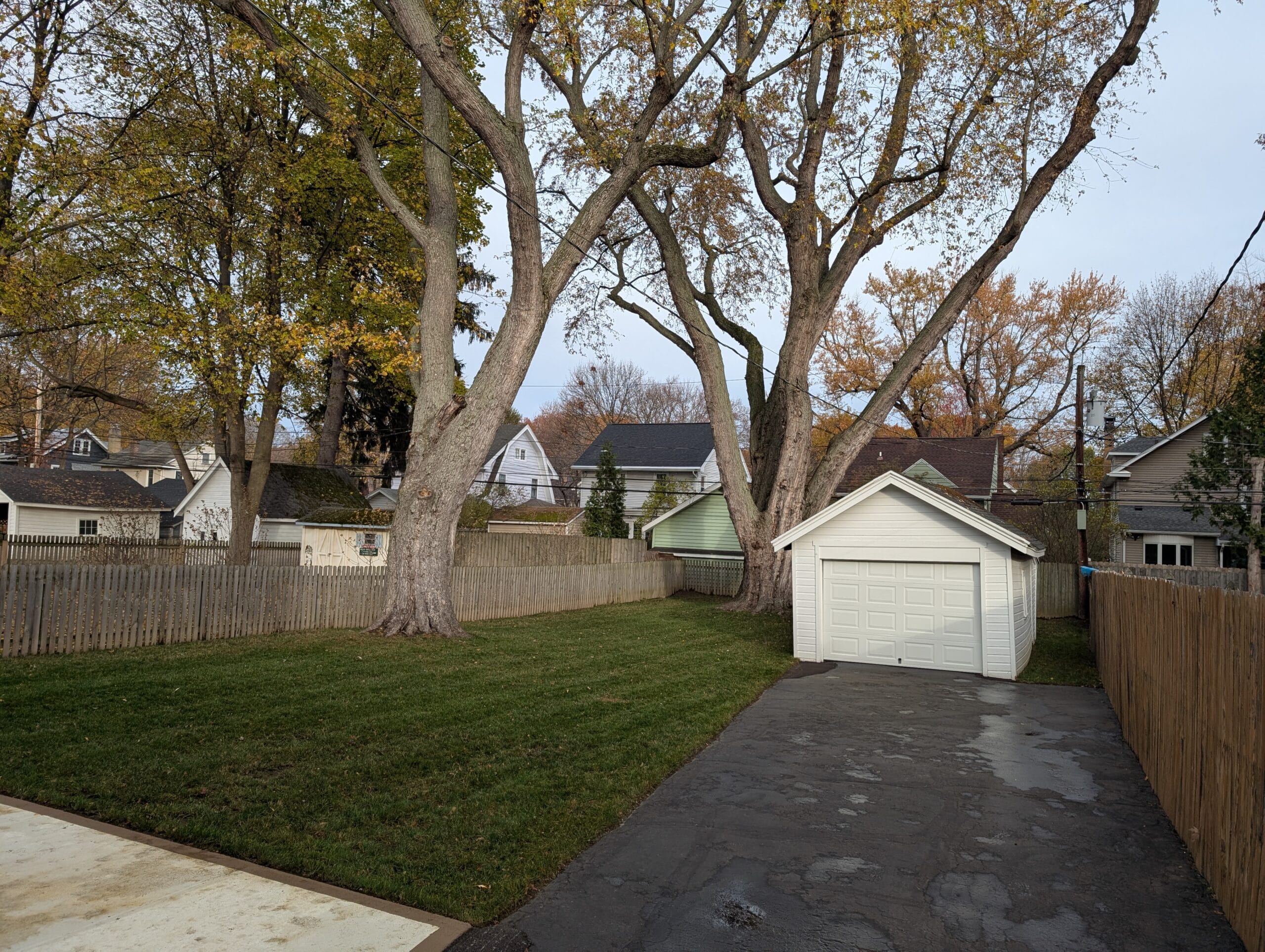 Backyard after leaf removal and lawn mowing in Irondequoit NY