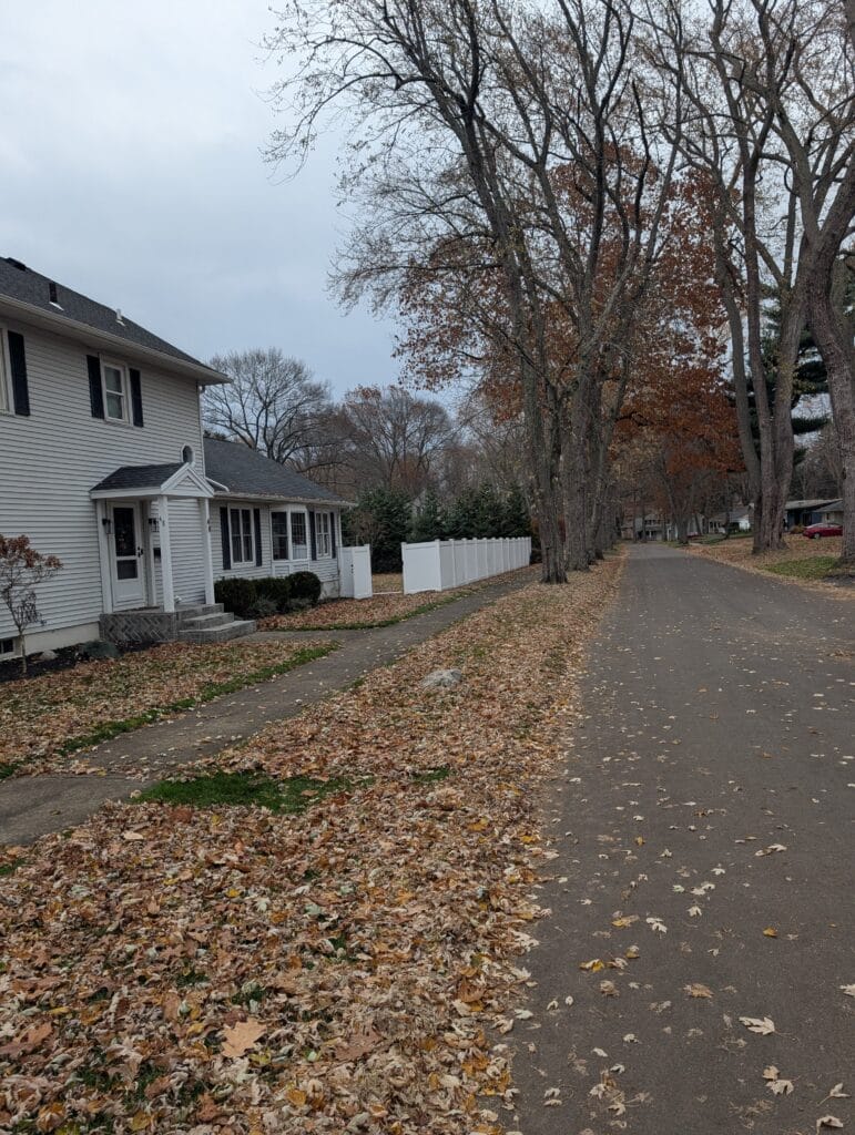 Side yard covered in leaves before cleanup in Irondequoit NY