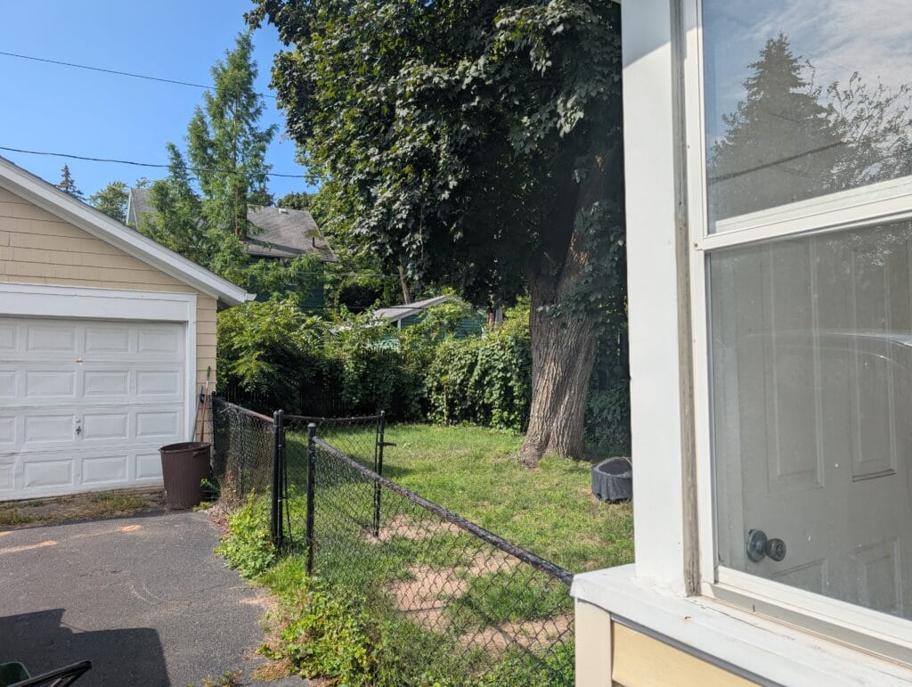 Overgrown backyard before full yard cleanup in Rochester NY