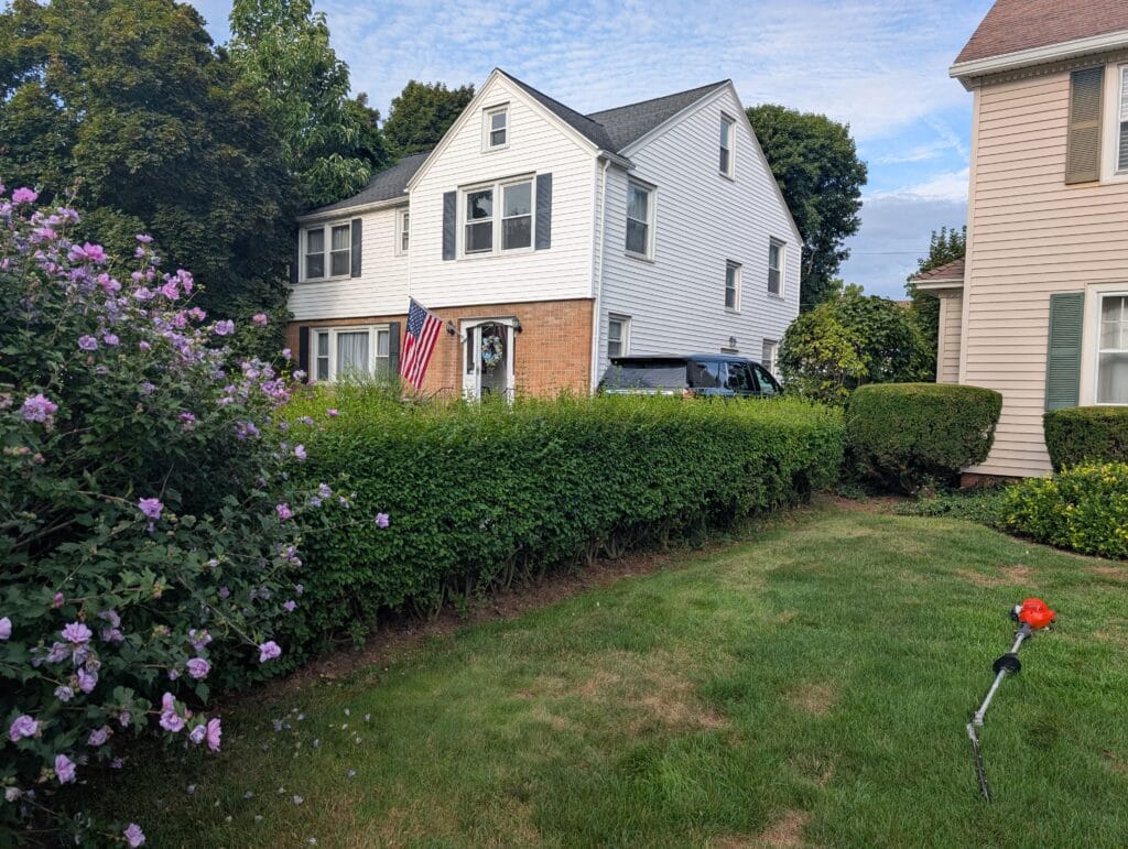 Overgrown bushes before trimming at a home in Brighton NY