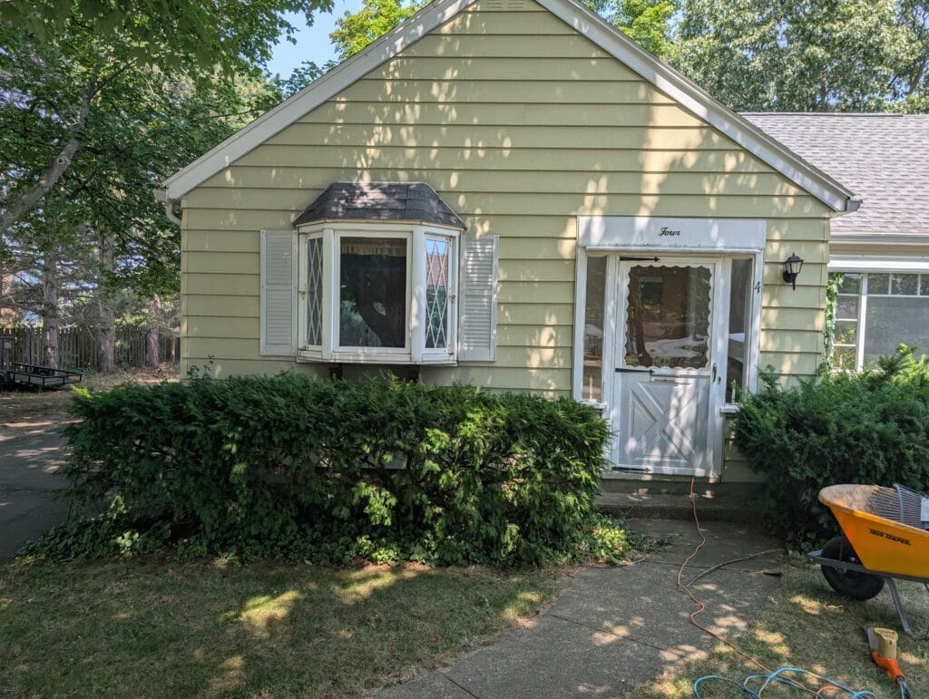 Dense overgrown shrubs before bush trimming in Irondequoit NY