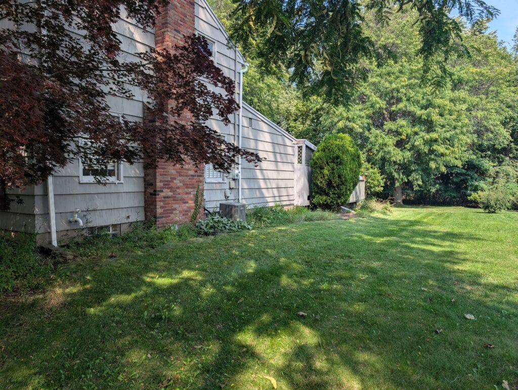 Overgrown garden before removal on the side of a house in Irondequoit NY