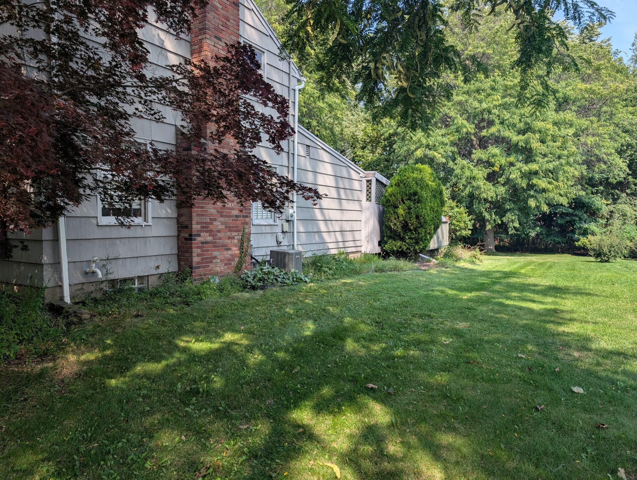 Overgrown garden before removal on the side of a house in Irondequoit NY