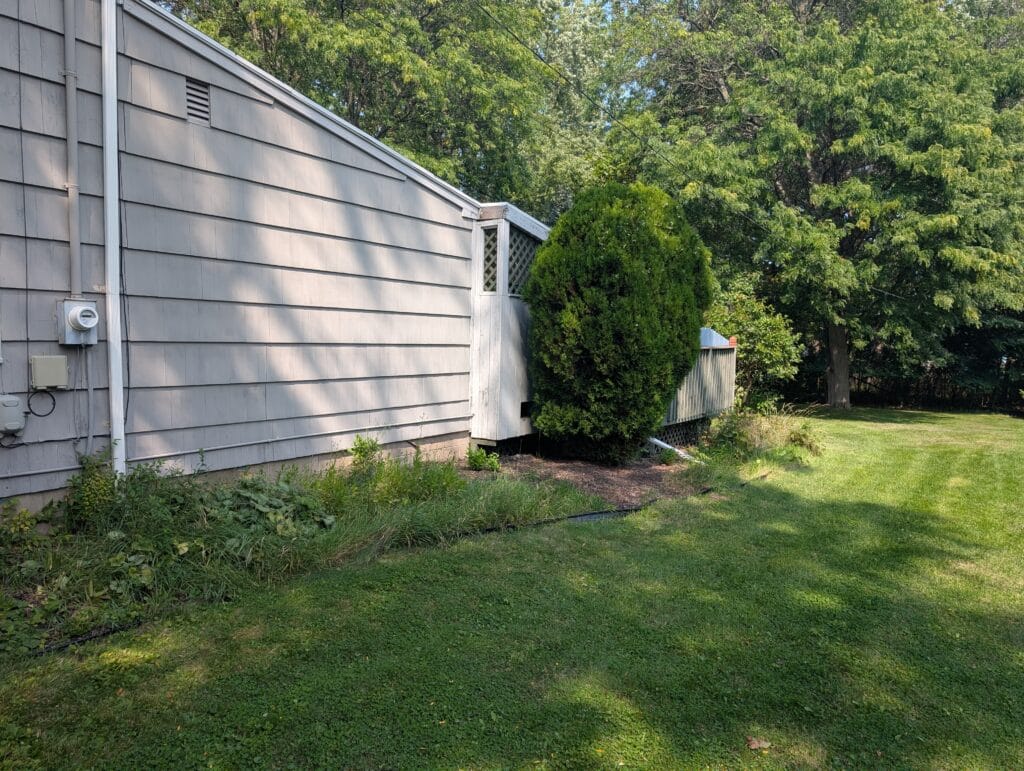 Close up of overgrown garden before removal in Irondequoit NY