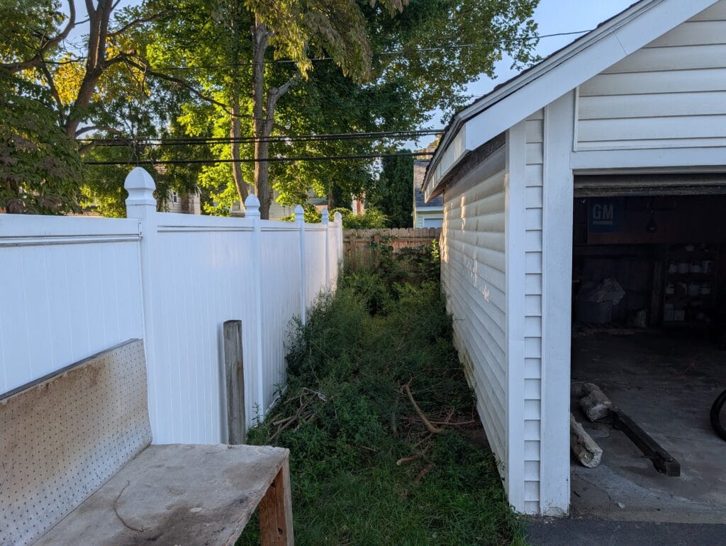 Severe overgrowth beside garage before yard cleanup in Irondequoit NY