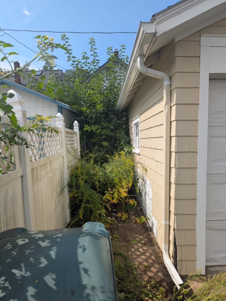 Overgrown bushes beside garage before yard cleanup in Rochester NY