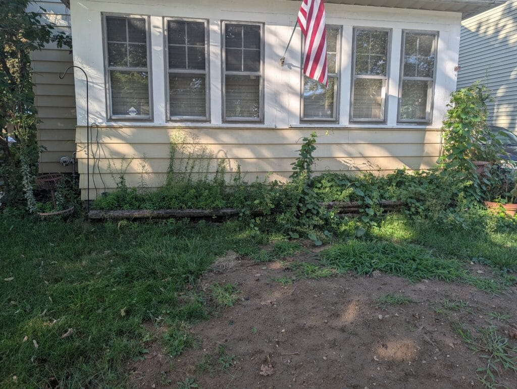 Close up of rotting garden timbers and bare lawn area in Rochester NY
