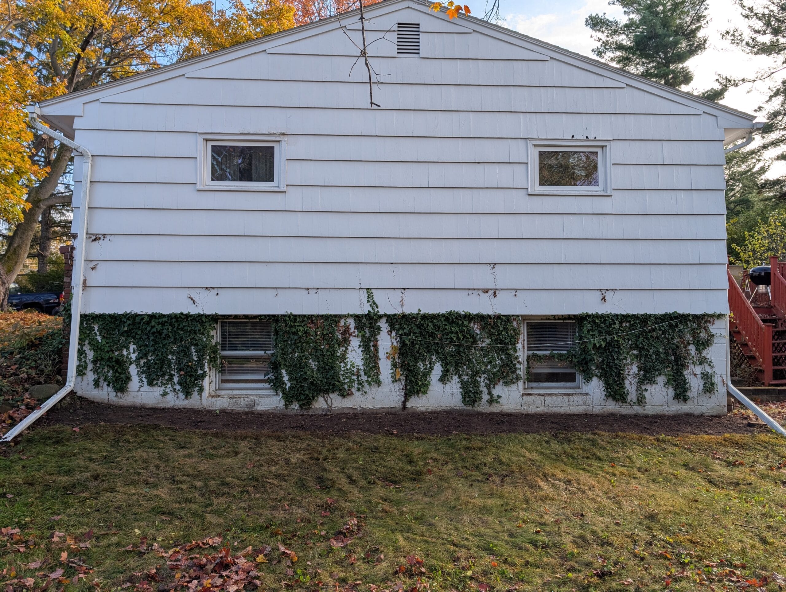 Side garden after English ivy was removed in Pittsford NY