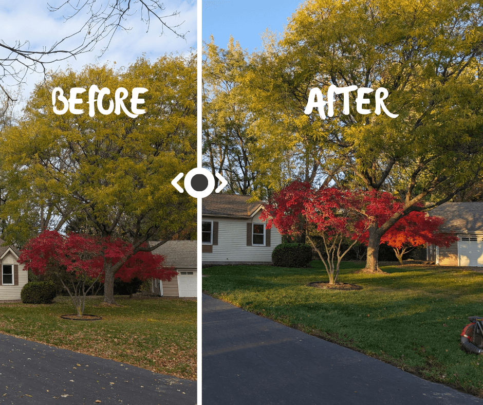 Yard covered in leaves before leaf blowing in Irondequoit NY