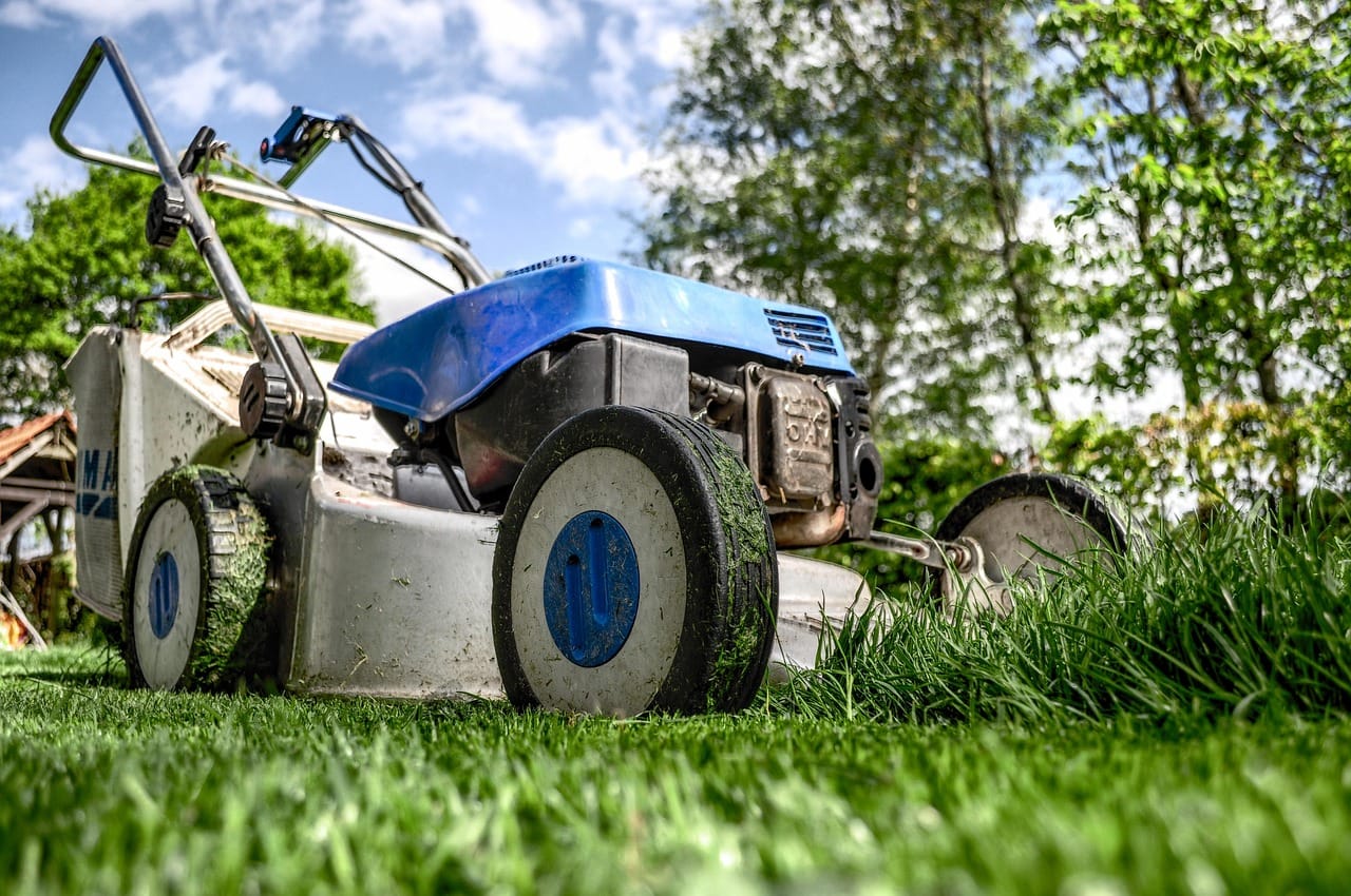 Lawn mower cutting grass in a residential yard as part of spring lawn care.